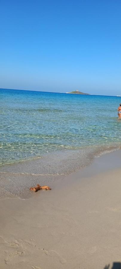Il Tramonto Διαμέρισμα Capaci Εξωτερικό φωτογραφία